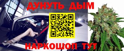 прущие грибы Усть-Илимск