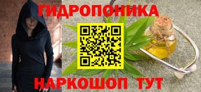 прущие грибы Усть-Илимск